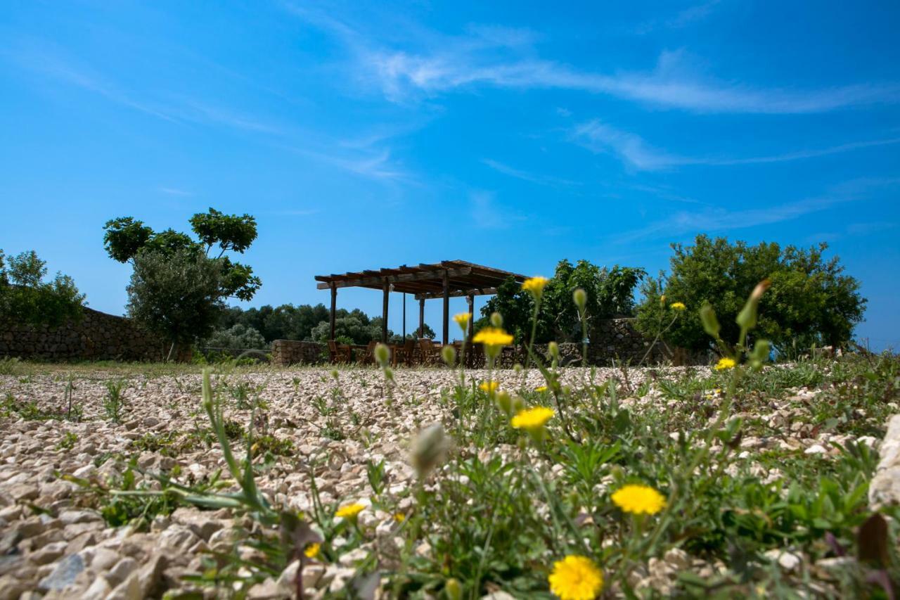Antica Masseria Ficazzana - Tenuta マリーナ・ディ・ペスコルーゼ エクステリア 写真