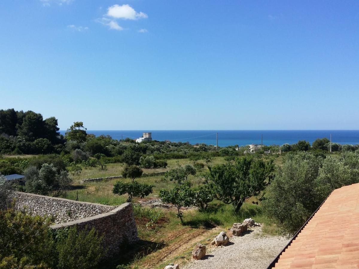 Antica Masseria Ficazzana - Tenuta マリーナ・ディ・ペスコルーゼ エクステリア 写真